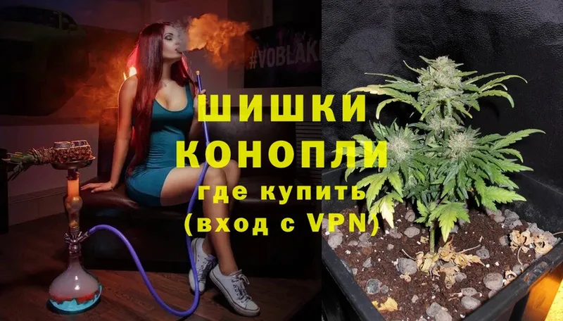 МАРИХУАНА SATIVA & INDICA  blacksprut как зайти  даркнет официальный сайт  Реутов 